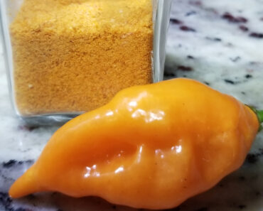 Turning the Heatless Habanada Sweet Pepper into Seasoning