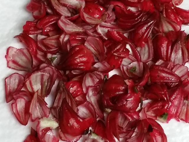 October: Fresh Picked Roselle