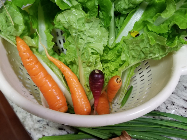 January: Looks Like a Stir Fry in the Making