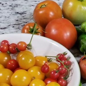 So Tiny, Even Smaller than Cherry Tomatoes