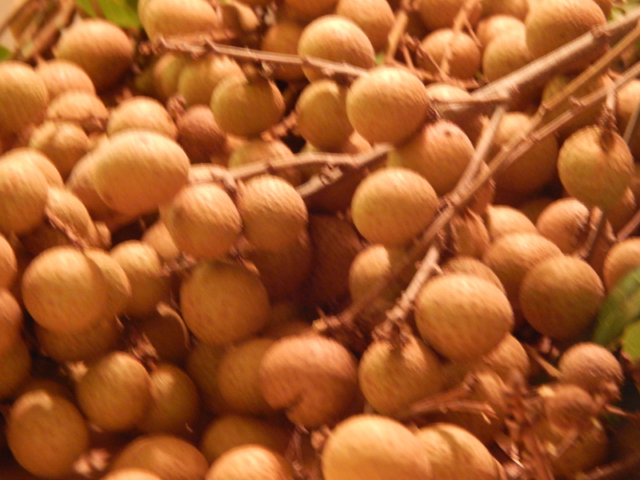 August: Longan, And Plenty to Share