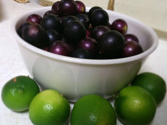 September: Muscadines and a Few Key Limes