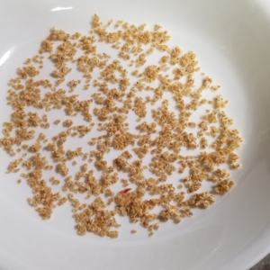 Place Seeds on a Clean Dish